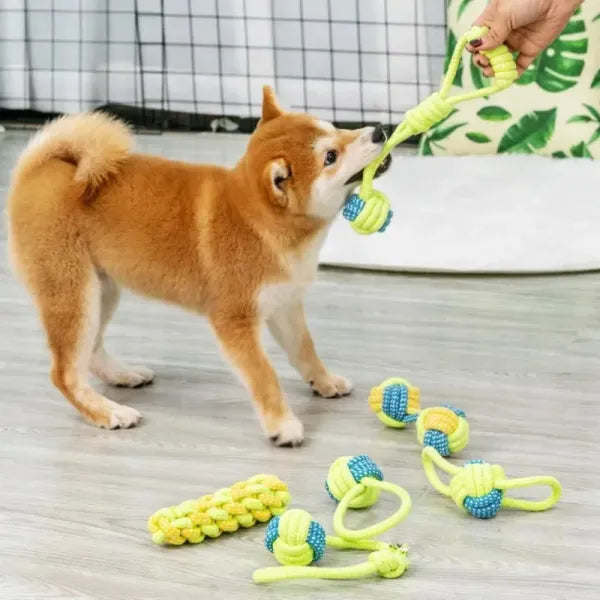 Tug Rope Play Set - Bonding That Burns Energy